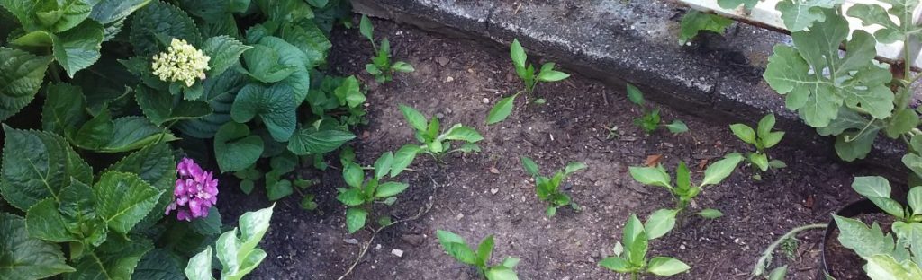 Let’s get started!