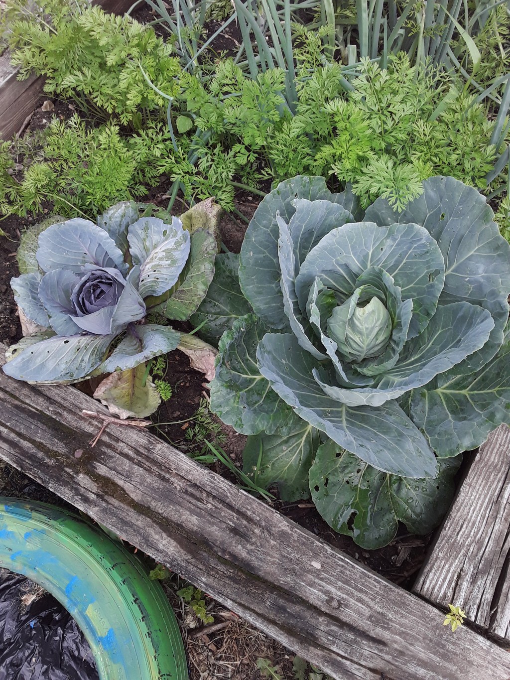 Late June Update Pt.&nbsp;2