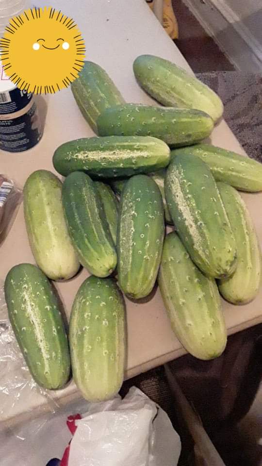 Recent Harvest July 20th&nbsp;2019