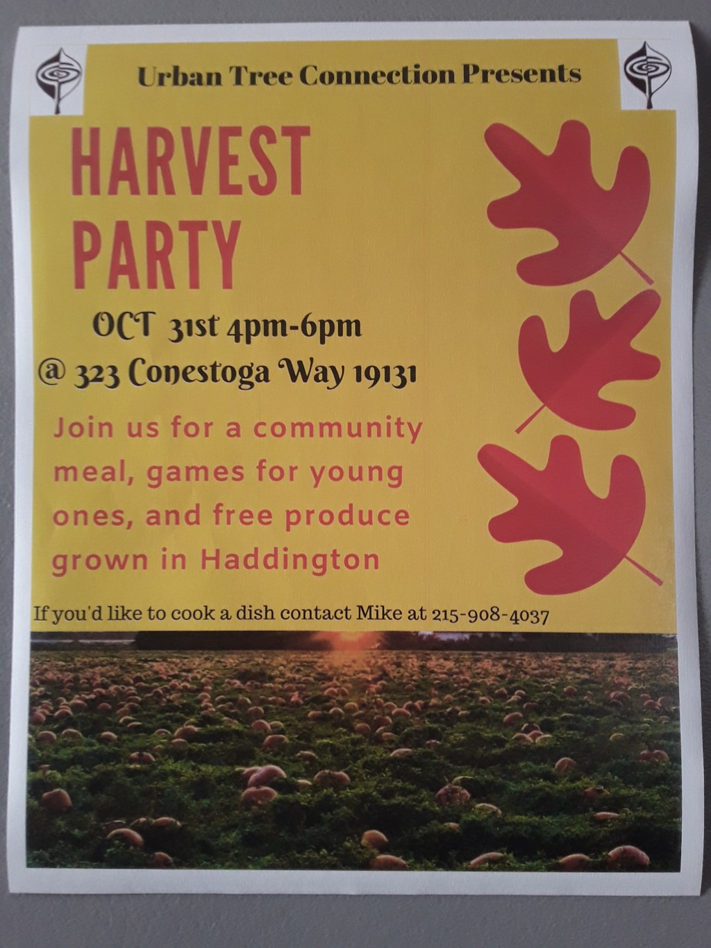 Pearl Street Community Garden Harvest&nbsp;Festival