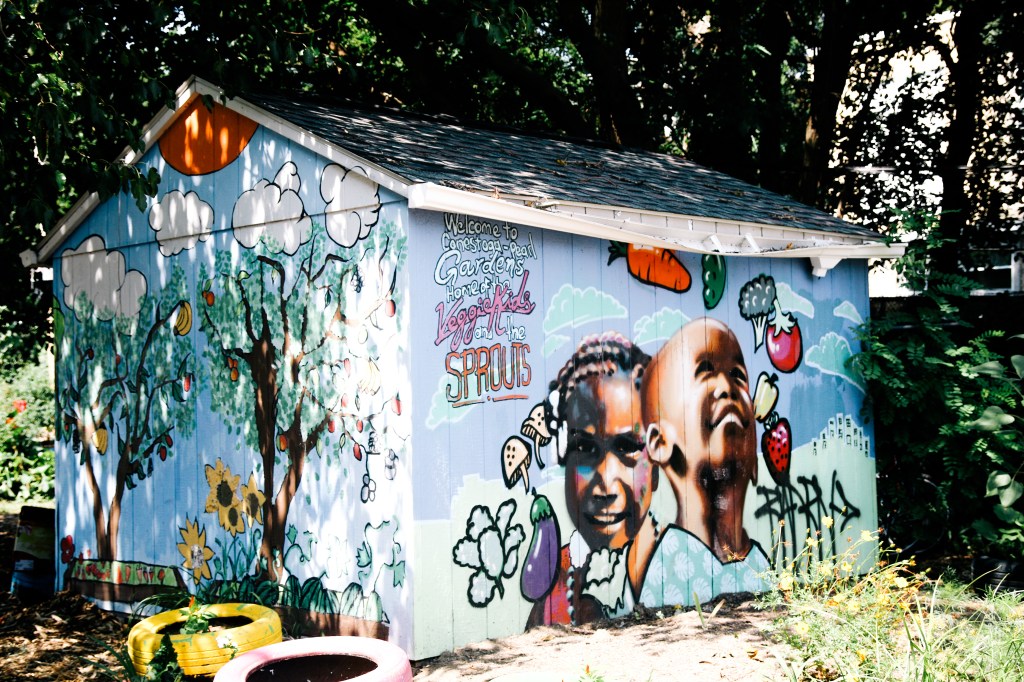 Urban Tree Connection Fall Harvest&nbsp;Party