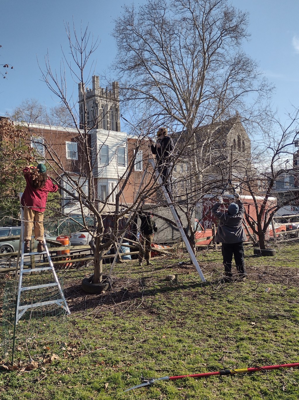 Pruning is in&nbsp;session