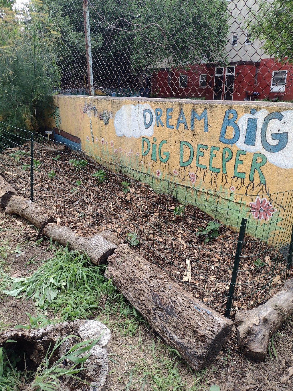 Garden updates part uno&nbsp;🌺🌳