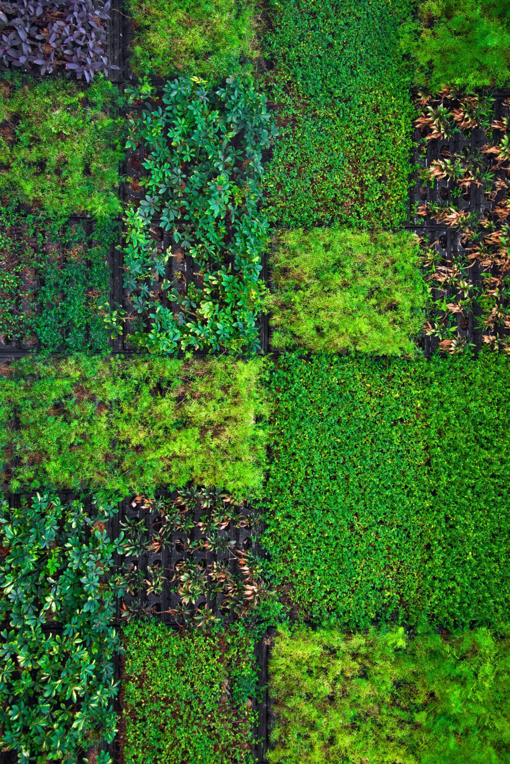 Discrimination against black farmers COVID relief fund.&nbsp;#blackfarmers