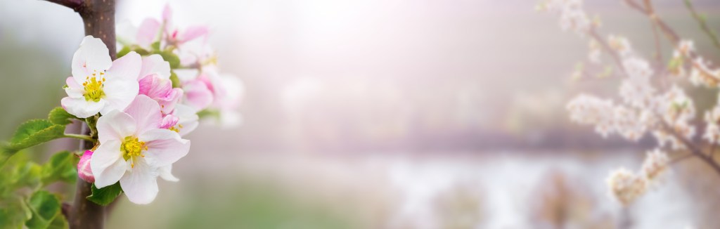 Spring is in the&nbsp;air!