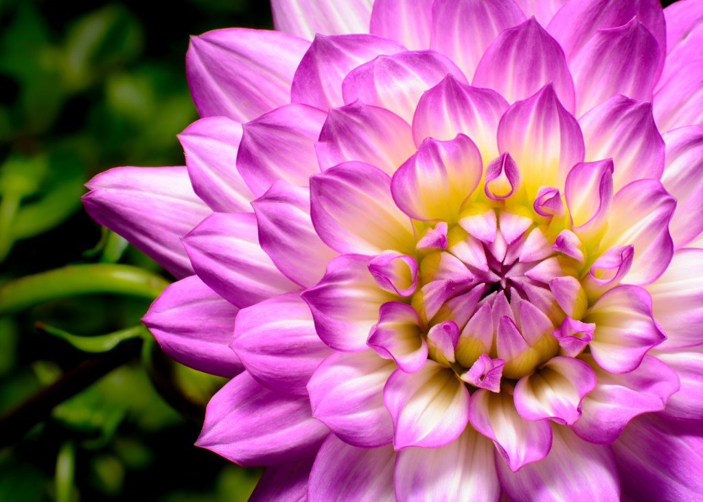 Mastering artistry of the land&nbsp;#landscaping