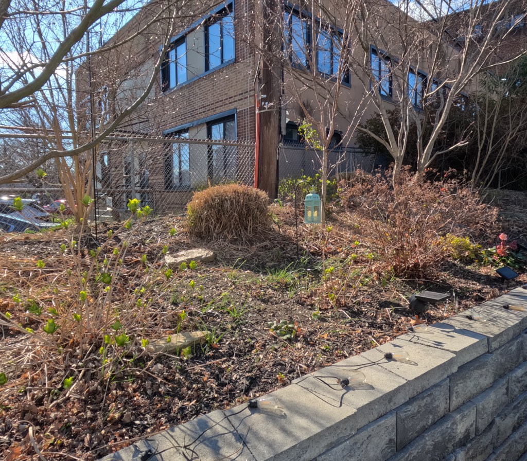 Mike Universal Landscaping Wynnefield cont’&nbsp;#landscaping