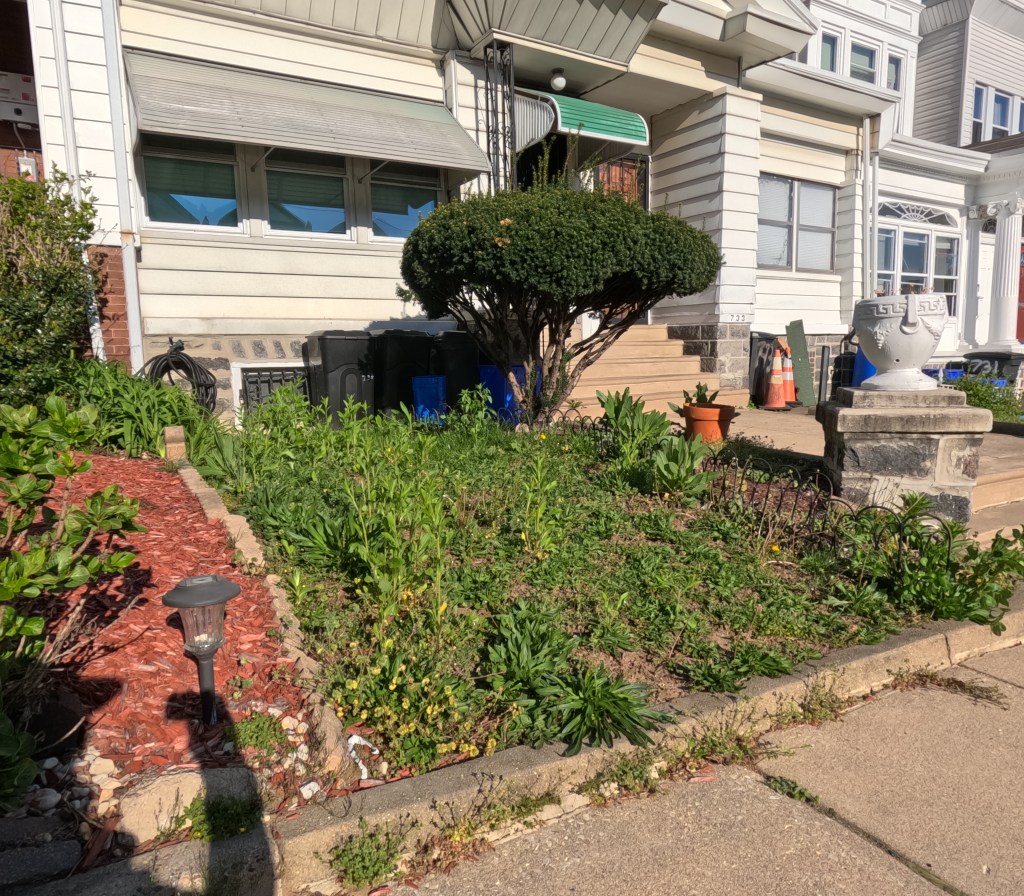 Building our brand one green space at a time.&nbsp;#landscaping