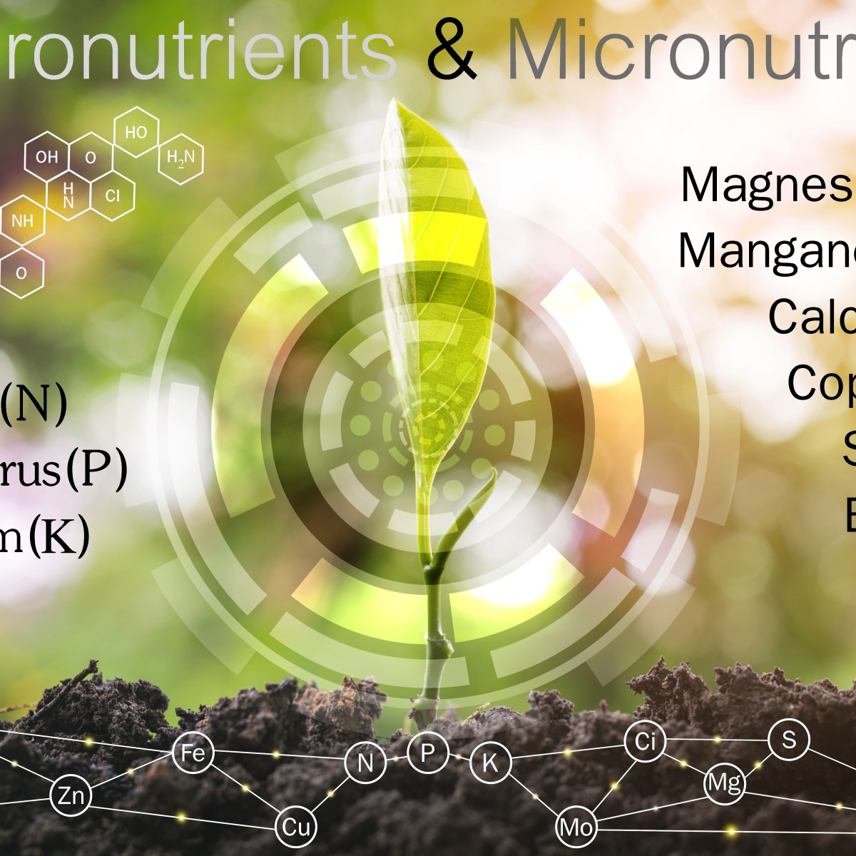 Philadelphia’s Urban Agriculture plan #growingfromtheroots