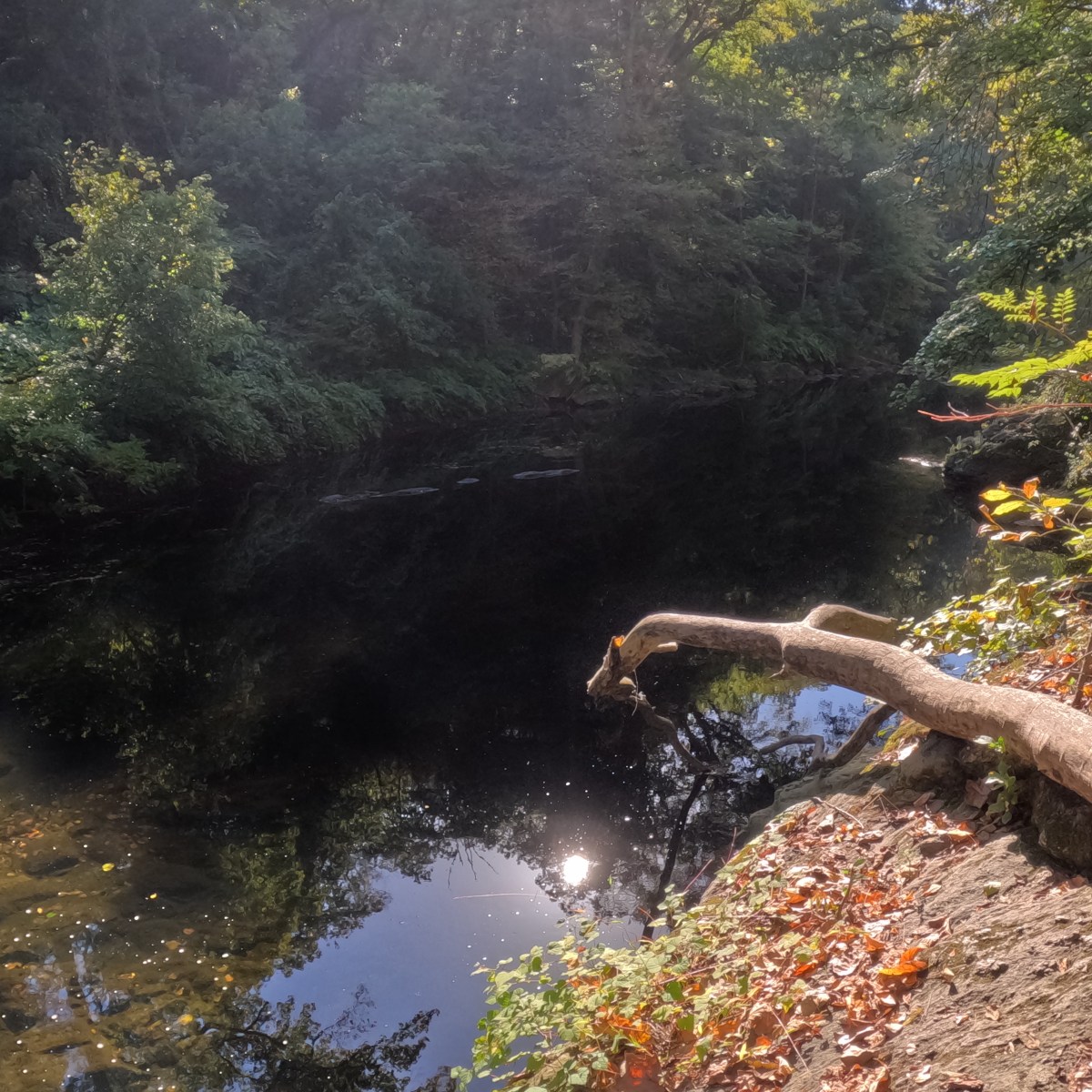 Walking the stress&nbsp;away