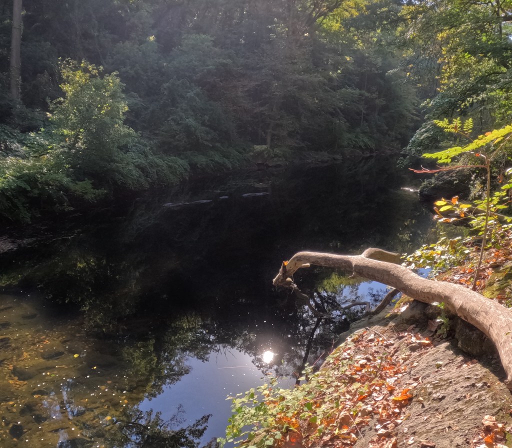 Walking the stress&nbsp;away