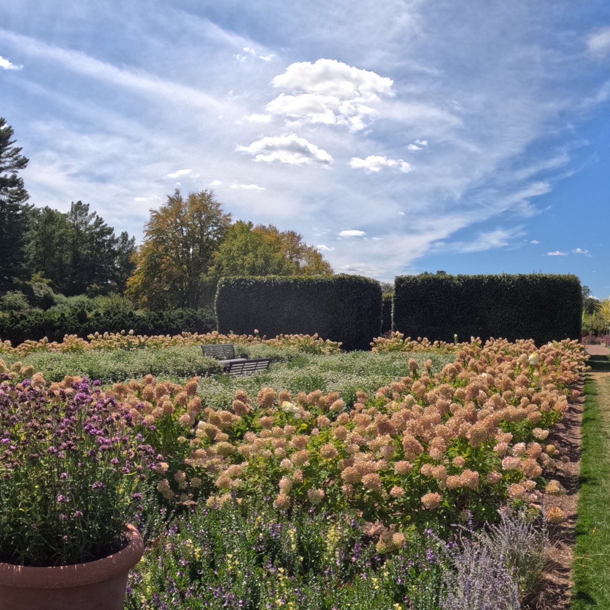 magical tour @ longwood&nbsp;gardens